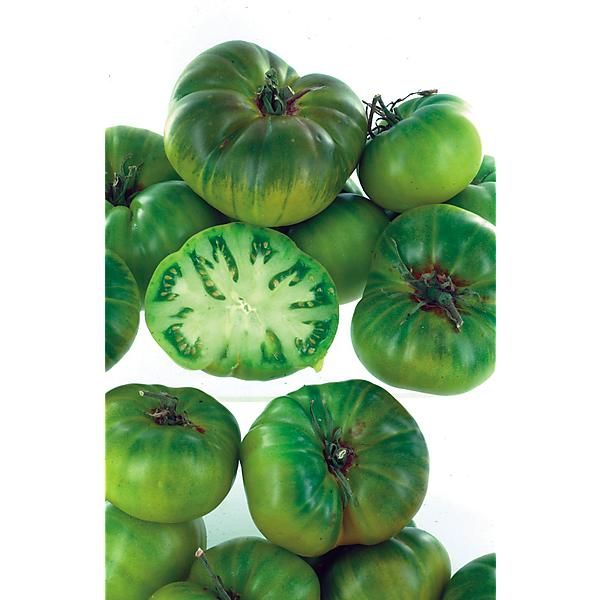 TOMATE EVERGREEN