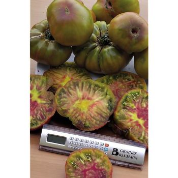 TOMATE ANANAS NOIR 2