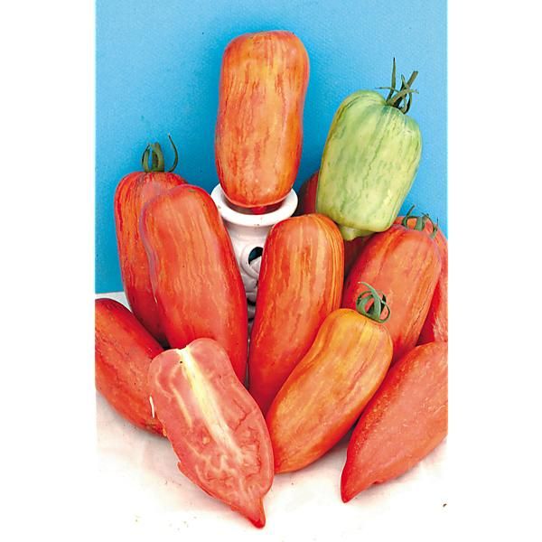 TOMATE ROMA RAYÉE