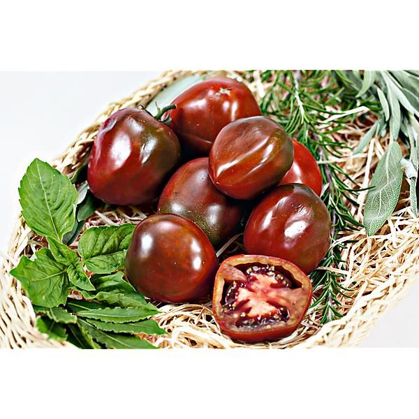 TOMATE OZIRIS