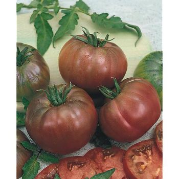 TOMATE NOIRE de CRIMÉE Bio