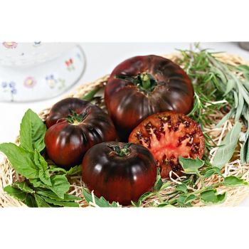 TOMATE NOIRE de CRIMÉE 2