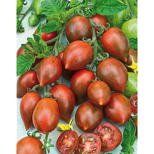 TOMATE F1 COOKIE® (F1 melange)