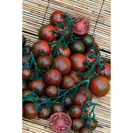 TOMATE BLACK ZEBRA COCKTAIL