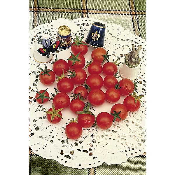 TOMATE RED CURRANT