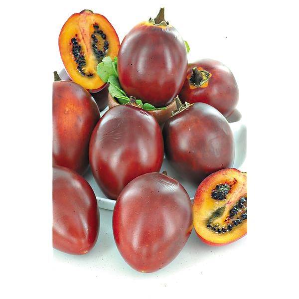 TOMATE en ARBRE (cyphomandra betacea)
