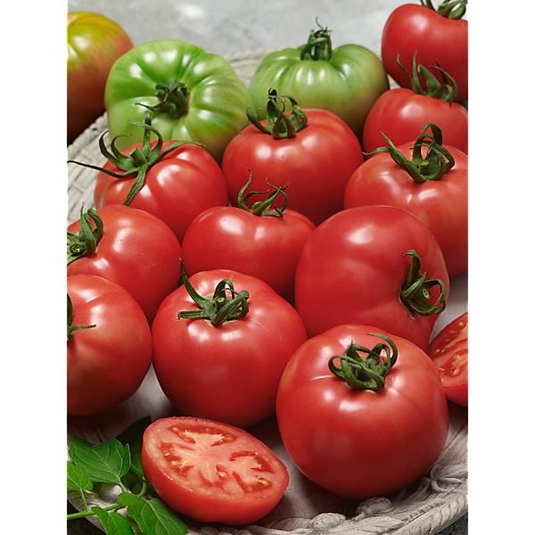 TOMATE F1 PAOLA