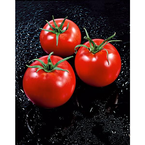 TOMATE F1 CARMELLO