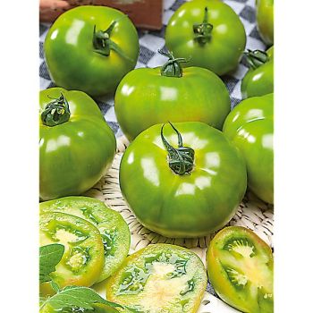 TOMATE GREEN GIANT 2