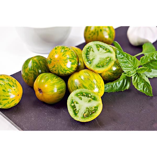 TOMATE KALYPSO