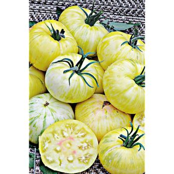 TOMATE PINEAPPLE PIG