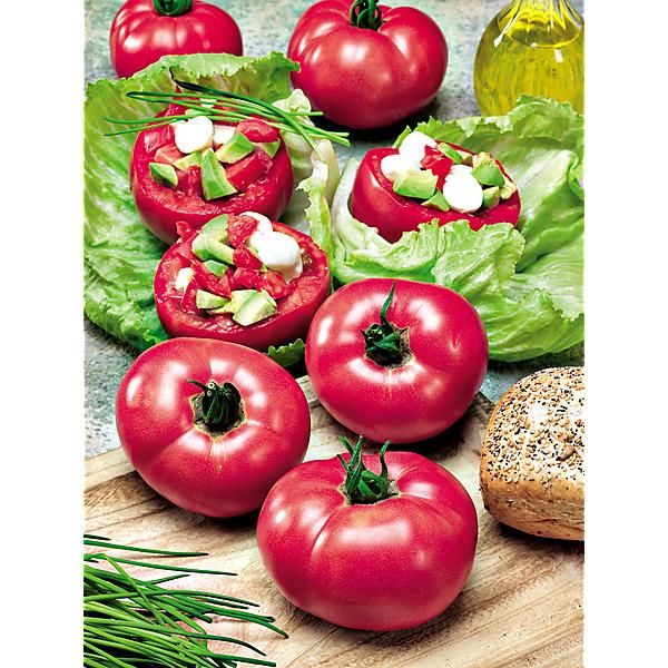 TOMATE ROSA