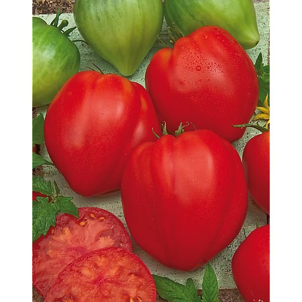 TOMATE CŒURDETORO® (F1 CAURALINA)