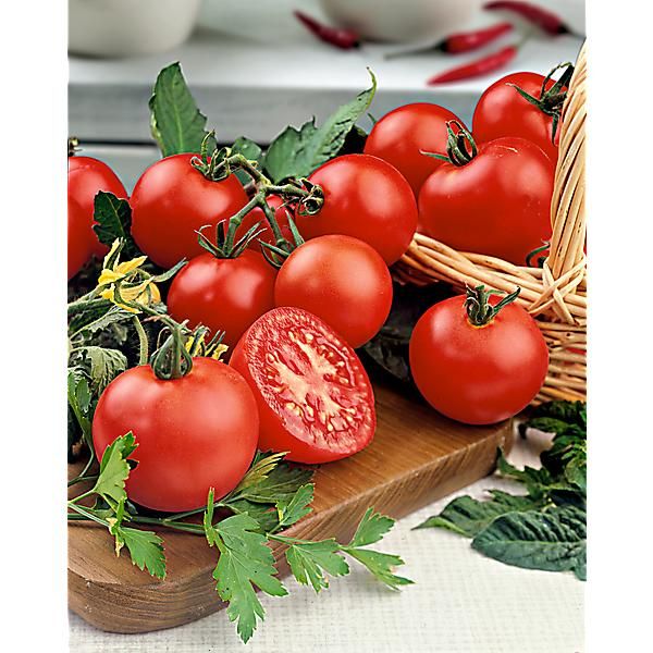 TOMATE TAMINA