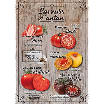 TOMATE ANANAS sélection ANASUN 2