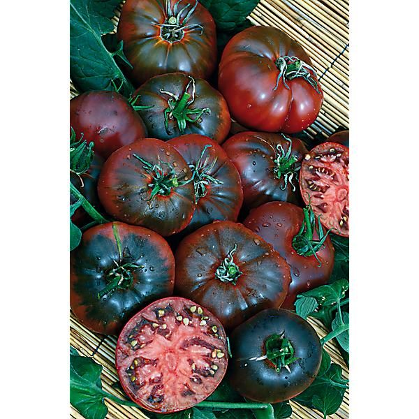 TOMATE NOIRE de CRIMÉE sélection YALTA