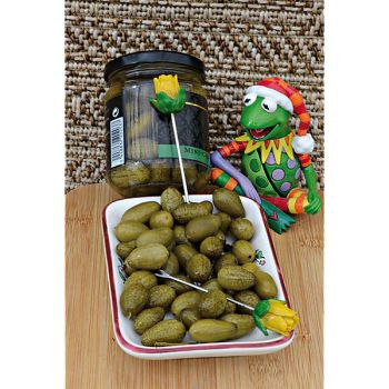 MELOTHRIA SCABRA ou CUCAMELON 2