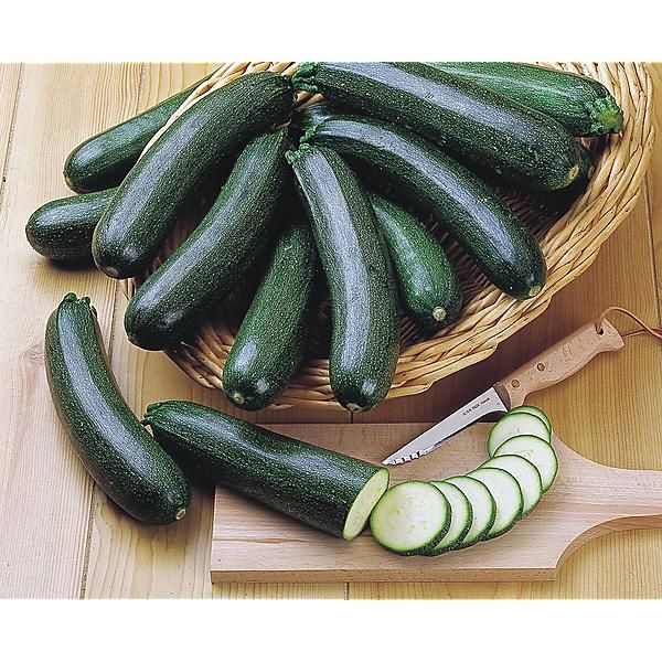 COURGETTE F1 BLACK JACK