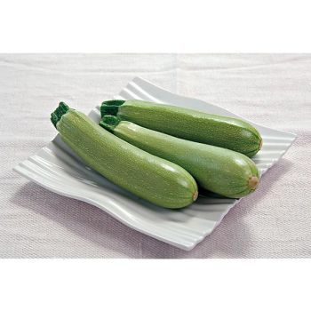 COURGETTE F1 MAJESTÉE