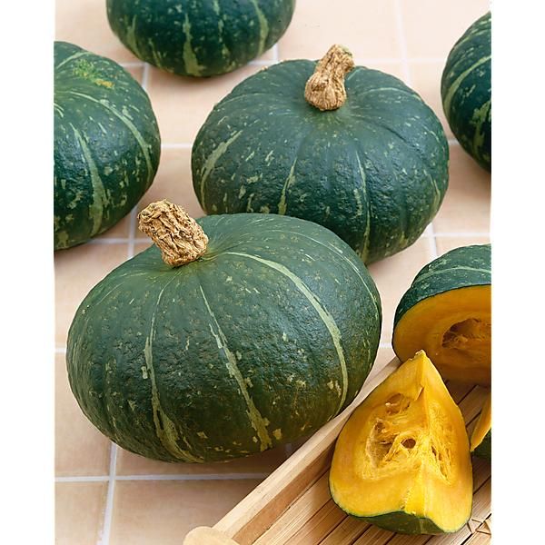 COURGE d’HIVER F1 SWEET MAMA