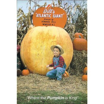 POTIRON ATLANTIC GIANT® DILL'S original Canada strain