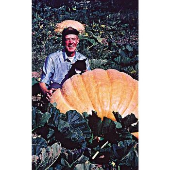 POTIRON ATLANTIC GIANT® DILL'S original Canada strain 2