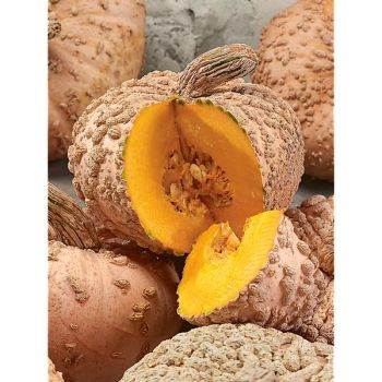 GIRAUMON GALEUX d'EYSINES