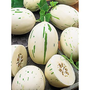 MELON F1 SNOW LEOPARD