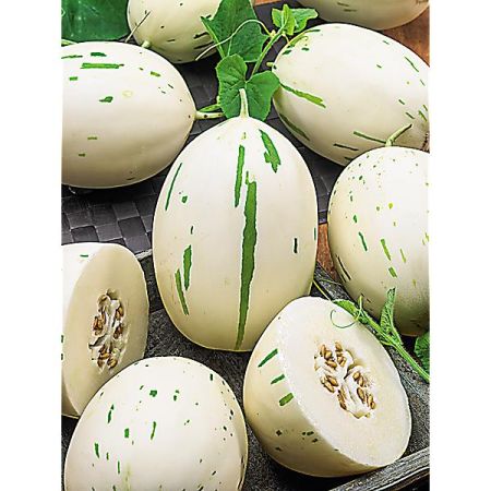 MELON F1 SNOW LEOPARD