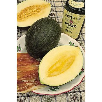 MELON VERT OLIVE d'HIVER (espagnol, vert de Noël)