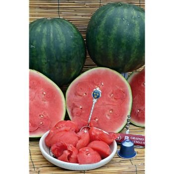 PASTÈQUE de POCHE F1 INGRID 2