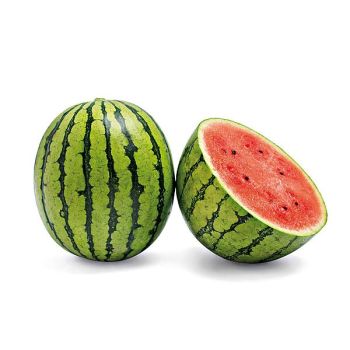 PASTÈQUE de POCHE F1 NANOOR 2