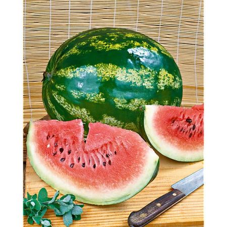 PASTÈQUE F1 MINI LOVE