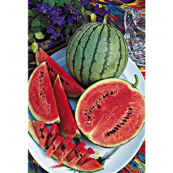 PASTÈQUE CRIMSON SWEET Bio