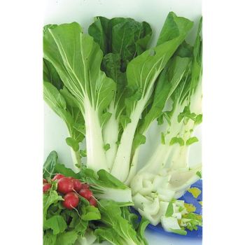 PAK-CHOÏ F1 KARAOKE