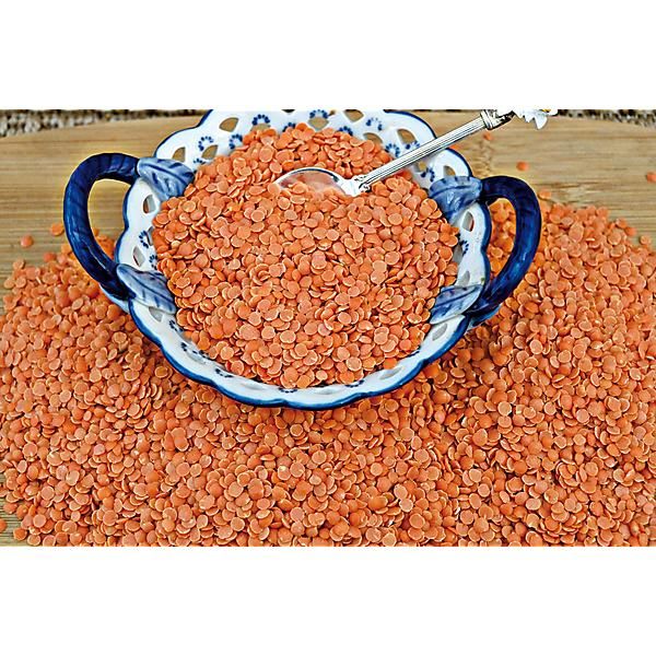LENTILLE CORAILIE