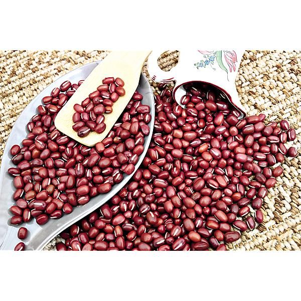 HARICOT ADZUKI (vigna angularis)