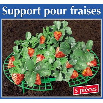 SUPPORT pour FRAISES