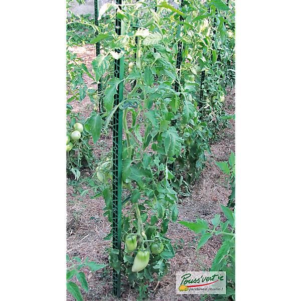 ÉCO-TUTEURS à TOMATES 180 cm de hauteur