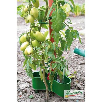 RÉSERVOIR pour TUTEUR à TOMATE 2
