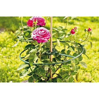 SOUTIENS pour PLANTES ROTO 40 2