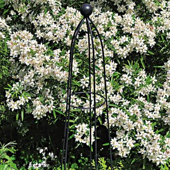 QUEEN OBELISK CLASSIC 2