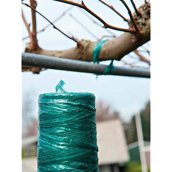 RAPHIA SYNTHÉTIQUE VERT