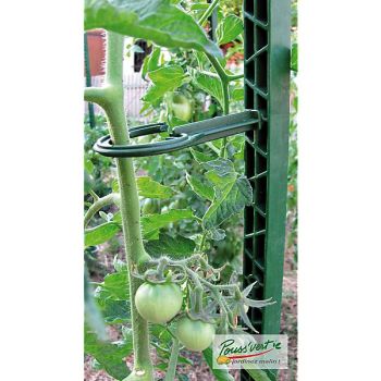 6 ATTACHES pour ÉCO-TUTEUR