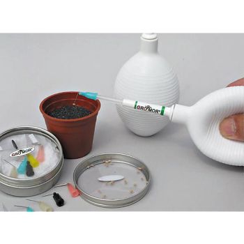 SEMOIRS AMÉRICAINS MINI