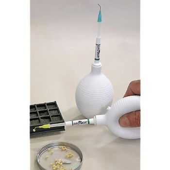 SEMOIRS AMÉRICAINS MINI 2