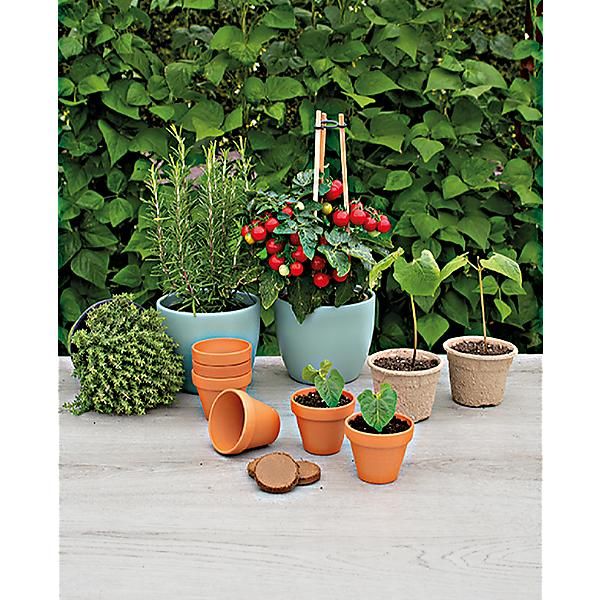 POT en TERRE CUITE à l'ancienne 9 POTS