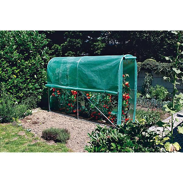 TOMATO GREENHOUSE