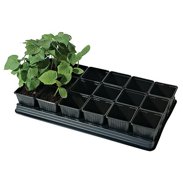 PLATEAU de 18 POTS CARRÉS de 9 cm