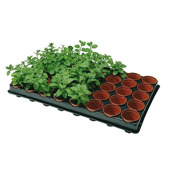 PLATEAU de 40 POTS RONDS